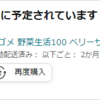 GPA0.9奨学金満額貸与PCローン60回払い貯金－250000円新卒社会人日記　9日目