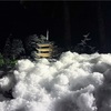 白く染まった黒