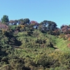 上越三城（春日山城・福島城・高田城）