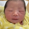 生まれました！