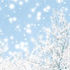 雪が降る