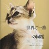 名前もBS " ニャパン " に❗️2/22猫の日は、にゃんこだらけの特別編成になったBSジャパンに癒されよう❗️