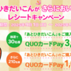 【９/３０】秋本食品  あとひきだいこん   QUOカードPayが当たるキャンペーン【レシ /  web 】