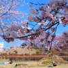 4月20日…勢至公園のお花見★その2