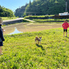 田植え当日！