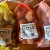 ジャガイモを植える準備