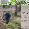 コタの初おねしょ