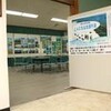 企画展「こんにちは泡瀬干潟2008」