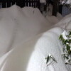 家も車も、大雪に埋まりました。