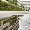 雨の日曜日と物語の世界