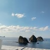 堂ヶ島と河津桜