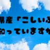 新潟県産「こしいぶき」を知っていますか？🌾