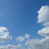 久しぶりの空。