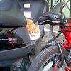 バイクと猫