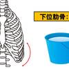   【基礎から学ぶ】胸郭の動き【運動学】