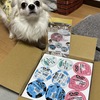 犬猫用ヨーグルト