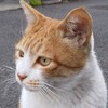献血　61回目