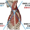 首肩周りツラくないですか？？？