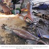 Myanmar military mired in a dilemma, and civilian casualties continue to rise; pro-democracy armed groups resist with home-made mortars, 3rd anniversary of the coup