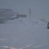 雪のため…2023年1月29日の勉強会