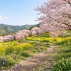 推し活と講師業は、実はそっくりだった