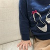 ◆事件！次女の肘が抜けました◆