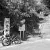 【讃岐國】那珂郡・神野神社。