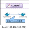 Docker-Registrator(Normal/internal)でConsulに登録される内容は？