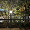 Photo No.2159 / 今週も無事折り返し