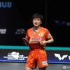 【WTT中東シリーズ・スターコンテンダー ドーハ大会】張本智和選手✨優勝✨