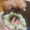 やる気になれるのならキッカケは何でもいい