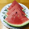 すいか🍉