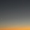 この10年、わたしは何をやってきたのだろう