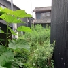 空き家の雨漏り修理、やってます。