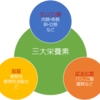 身体を変えろ！！その為に必要な栄養素とは？〜タンパク質〜