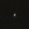 くまたぬきの春の銀河～M96