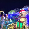 夏のクリスマスライト　パース