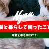 猫と暮らして困ったこと 本気と幸せ BEST５