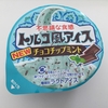 今日のおやつ　「トルコ風アイス　チョコチップミント」