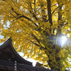 東三条大将軍神社