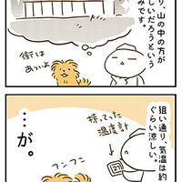 【犬漫画】ナイトドッグランに行くという選択【暑さ対策その2-2】