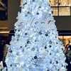 ドラマsilent のクリスマスツリーが下北沢駅前に🎄