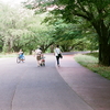 和光樹林公園にフィルムカメラを持って出かけてみる。