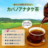 🍄カバノアナタケ茶🍵: 森の中の秘密の宝石を手に入れよう！