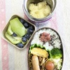 溶けるかどうかは気温次第🌽🌽🌽
