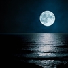 冬の夜空（ふゆのよぞら）