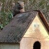 町田リス園は楽しくてとても優しいところでした。