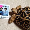 出張版！アリオ八尾でもオフレコ でお願いします！第3回