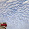 早朝のコンブ漁　夕べの羊雲