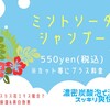 夏の限定メニユー🌞🌴🌺